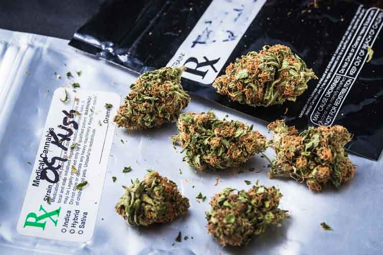 Cannabis six.jpg
