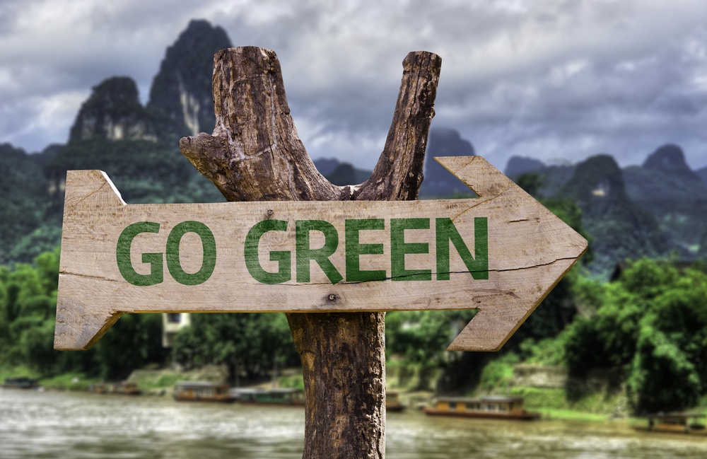 Go Green wooden sign with a forest background .jpeg