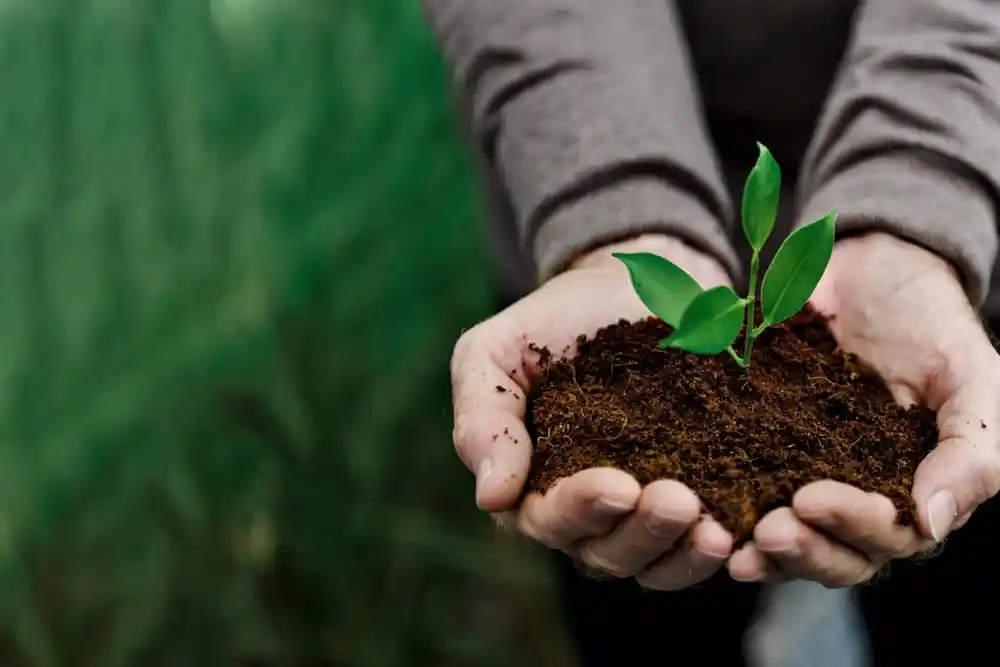 Man holding plant - Sustainable food packaging considerations 