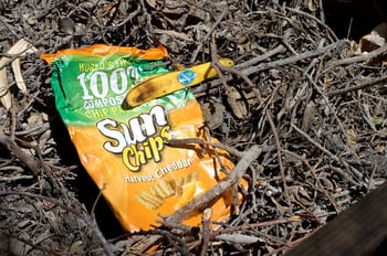 sunchips_biodegradable_bag.jpg